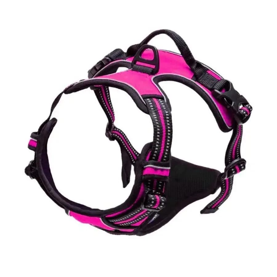 Dog Collar Harness and Leash Set