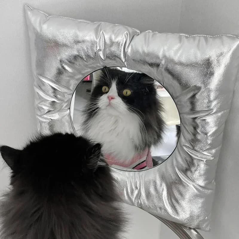 Square Silver Pillow Wall Mirror