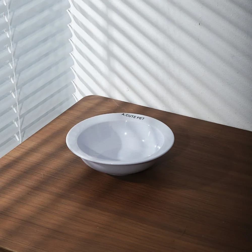 Ceramic Elevated Cat Bowl with Acrylic Stand