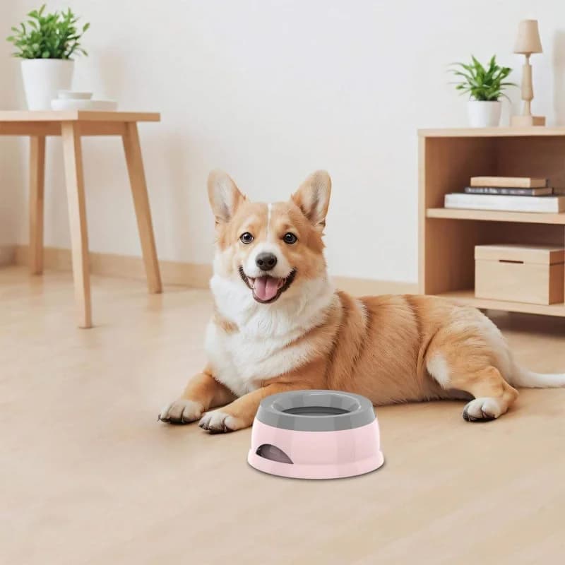 Floating Water Bowl for Dogs