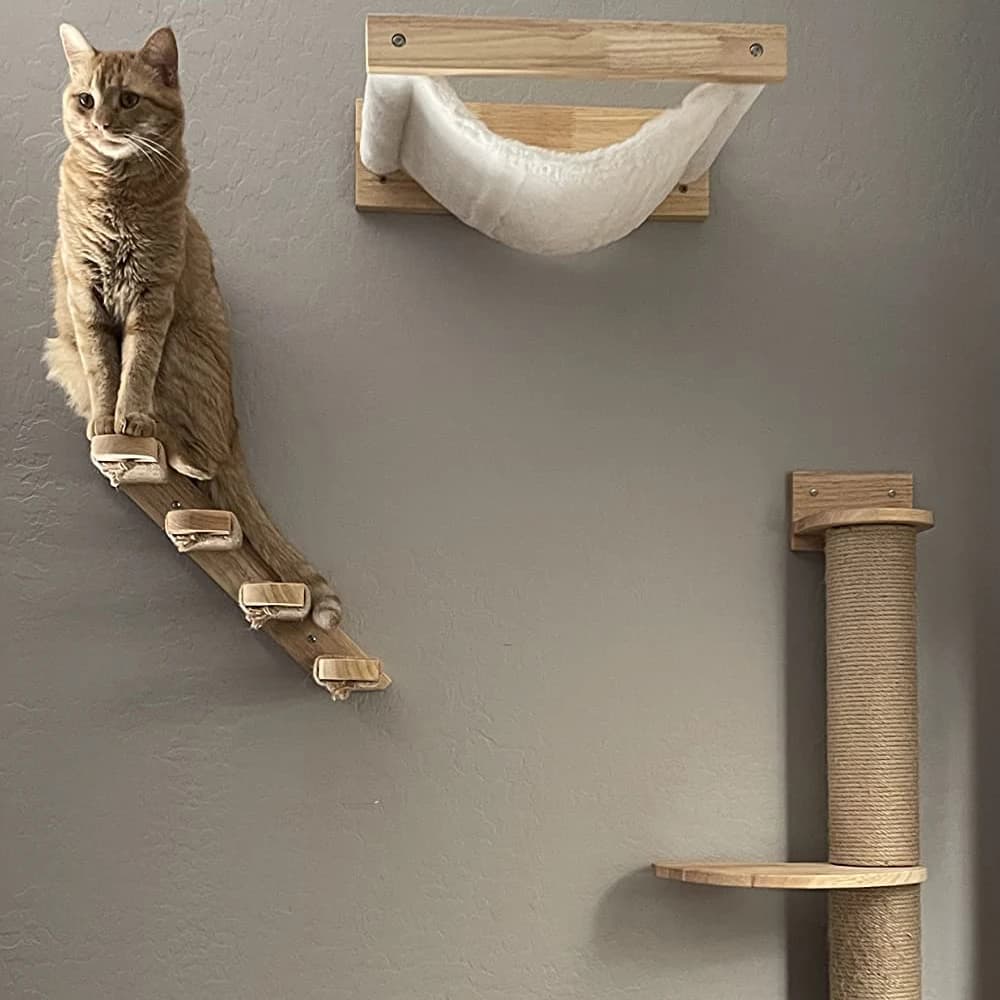 Wall-Mounted Cat Climber Set with Shelves