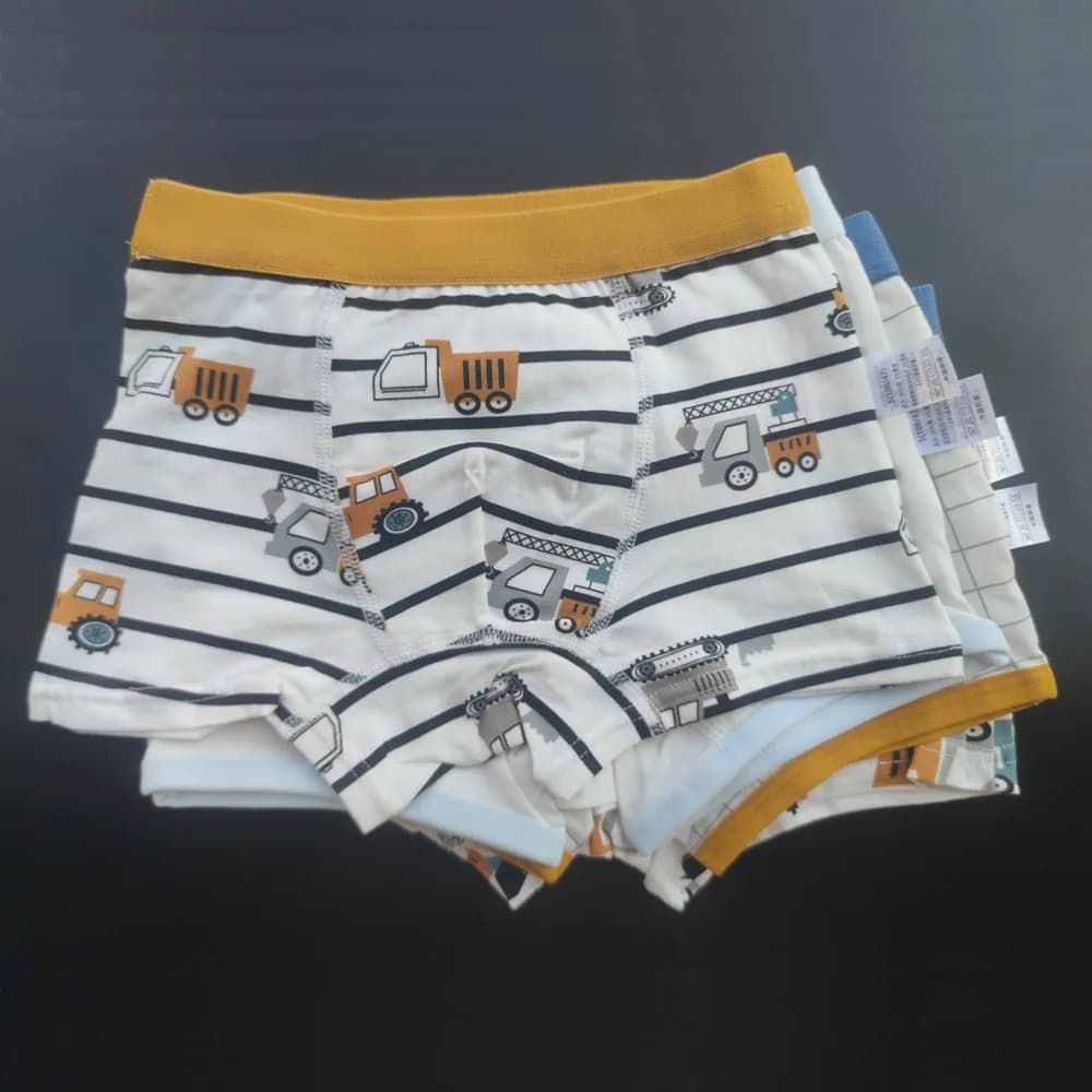 Boys Cotton Dinosaur Print Underwear 4-Pack