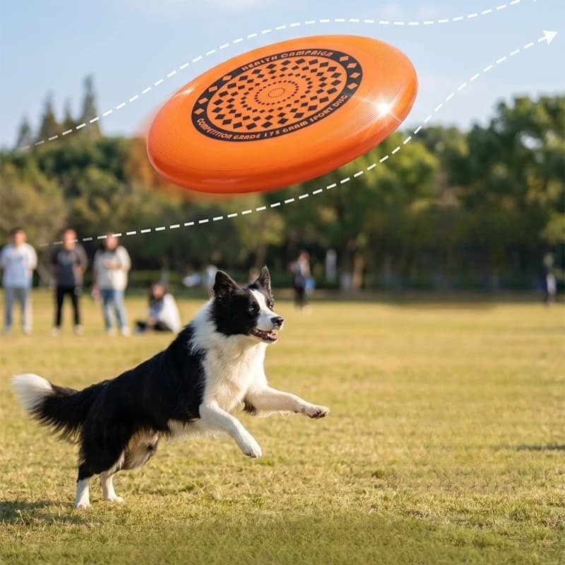 Durable Dog Flying Disc 27cm