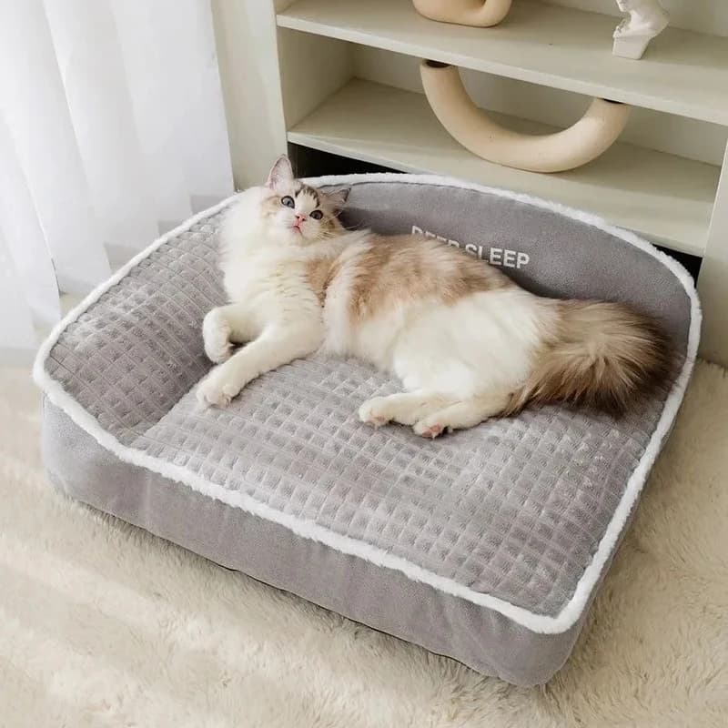 Small Dog Bed with Cushioned Comfort