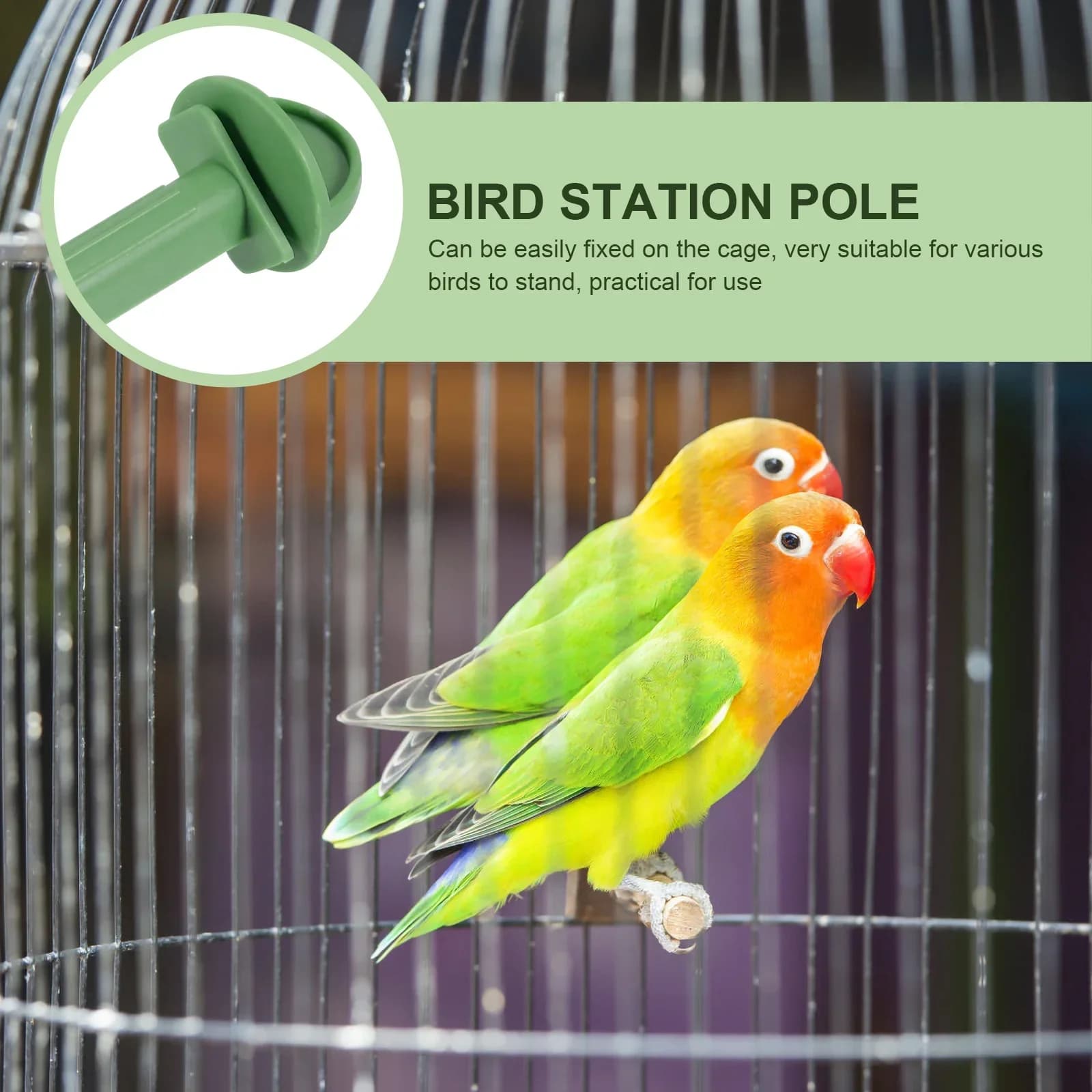 Bird Plastic Perch Pole Stand