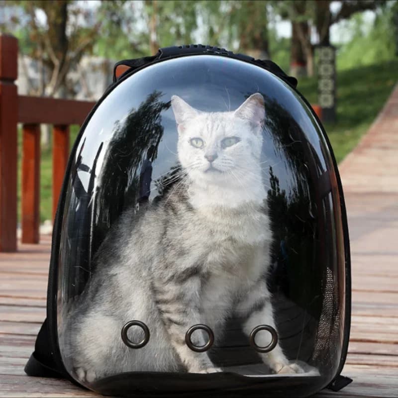 Manufacturer directly supplies cat bags, pet backpacks, cat supplies, breathable backpa,portable and transparent space capsules