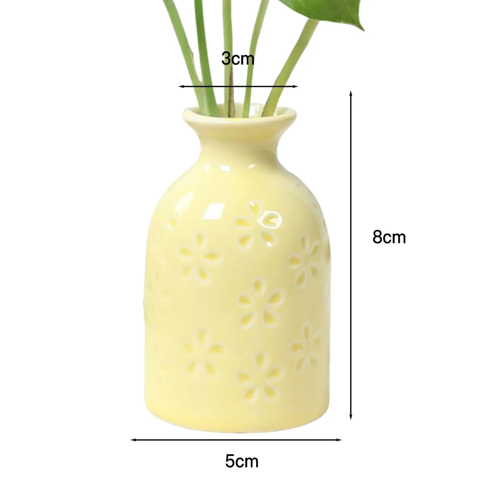 Ceramic Flower Vase for Plants
