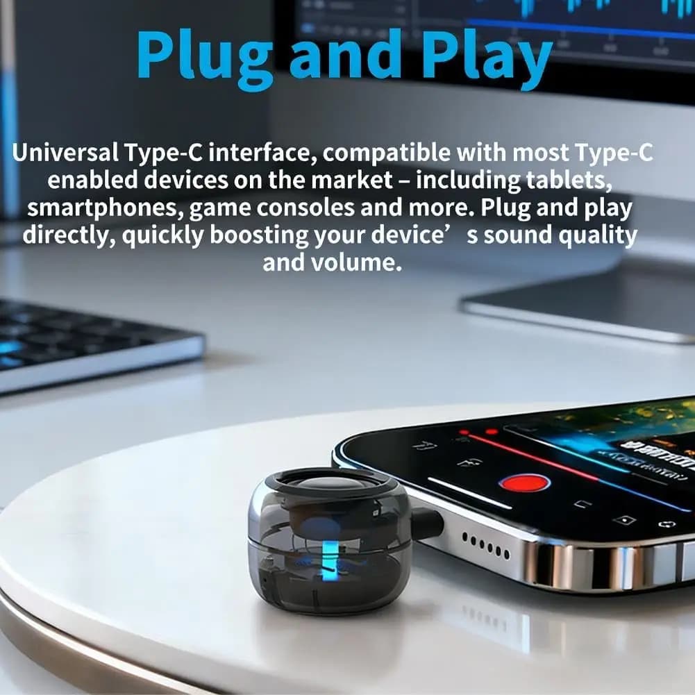 Type-C Portable Speaker Amplifier