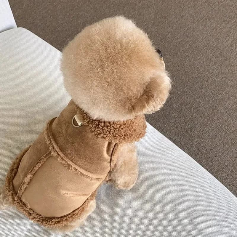 Small Dog Sweatshirt Dress