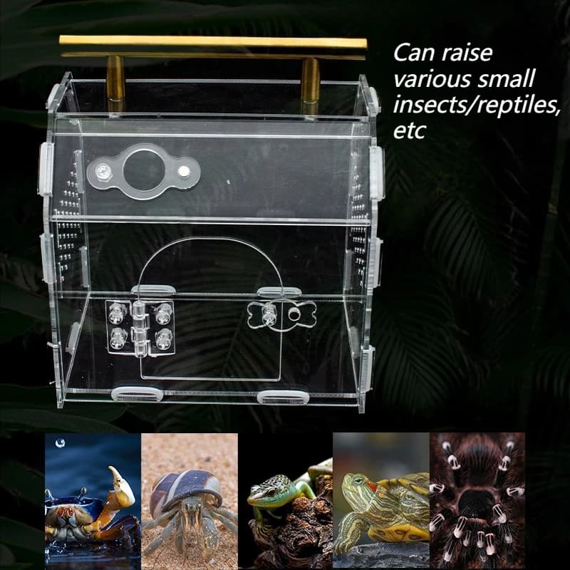 Acrylic Portable Reptile Terrarium Breeding Box