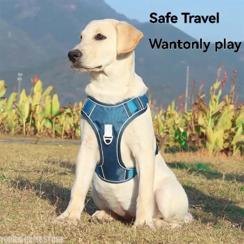 Reflective Dog Harness Vest with Retractable Leash