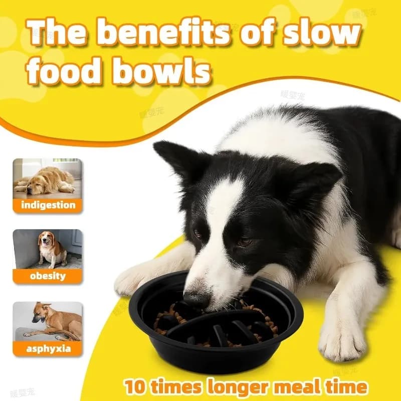 Adjustable Raised Dog Feeder with Stainless Steel Bowls
