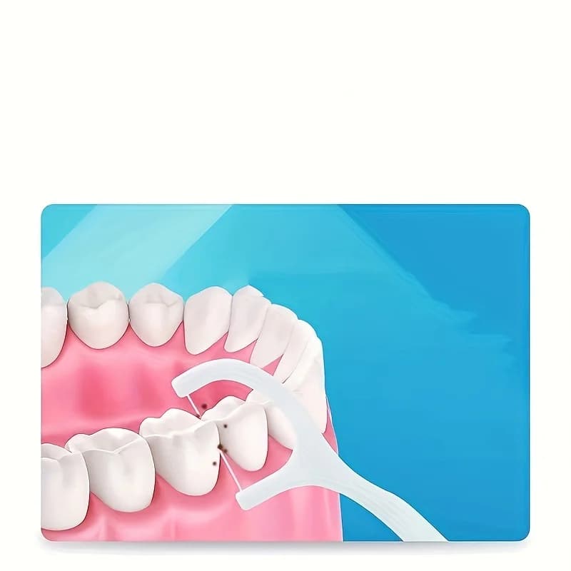 Disposable Dental Floss Picks