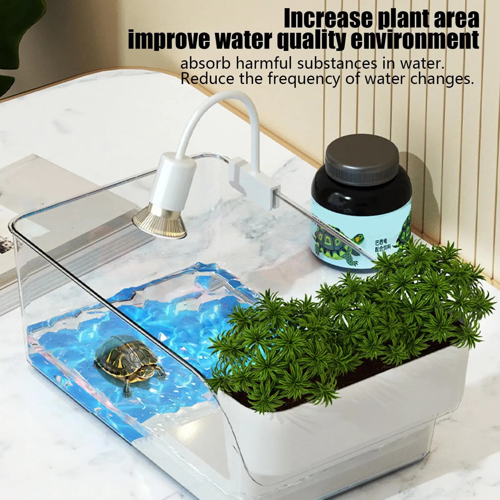 Turtle Tank with Basking Area and Habitat