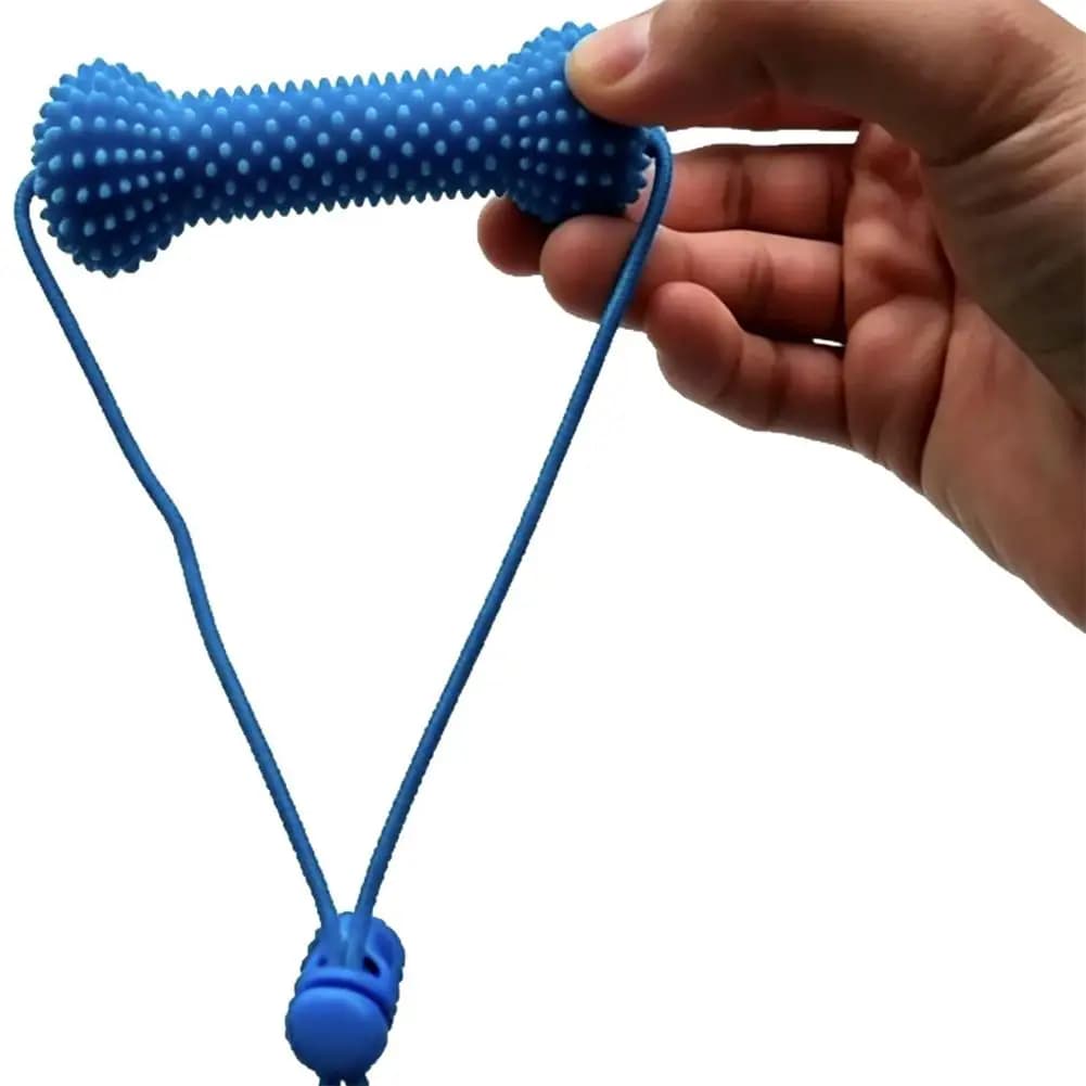 Dual-Action Canine Dental Chew Toy