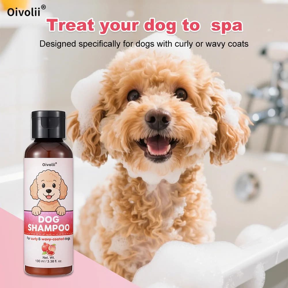 Curly Coat Dog Shampoo and Conditioner