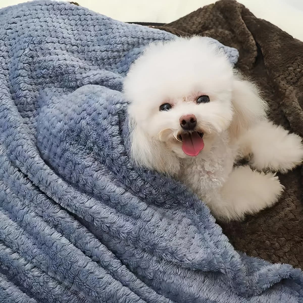 Ultra-Soft Fluffy Pet Blanket 70x100cm