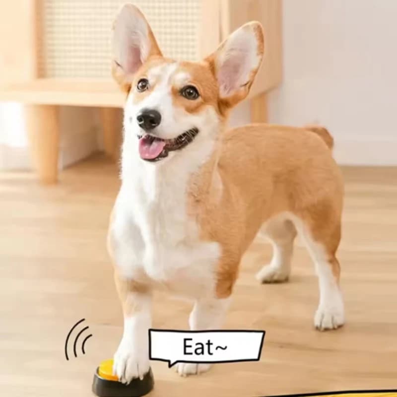 Dog Toys Funny Dog Recordable Pet Toys Talking Pet Starters Pet Speaking Buttons Portable Cute Pet Supplies