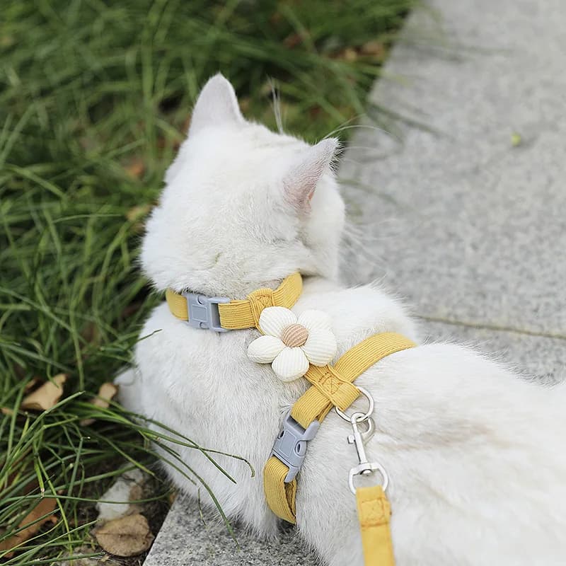 Adjustable Harness and Leash Set for Small Pets