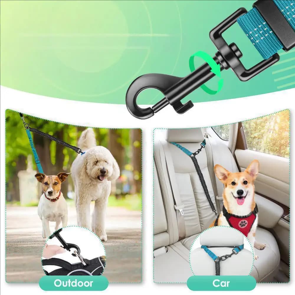 Double Dog Leash for Two Small to Medium Dogs