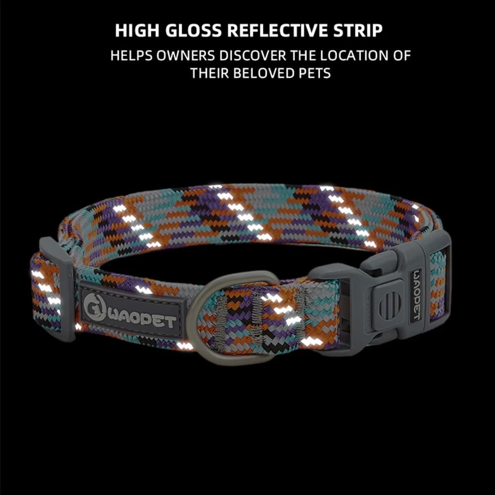 Durable Dog Collar with Leash for Training