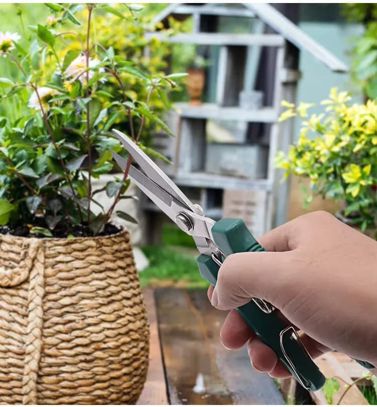 Straight Head Pruning Shears