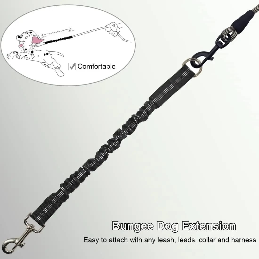 Dog Leash Extension with Metal Buckle