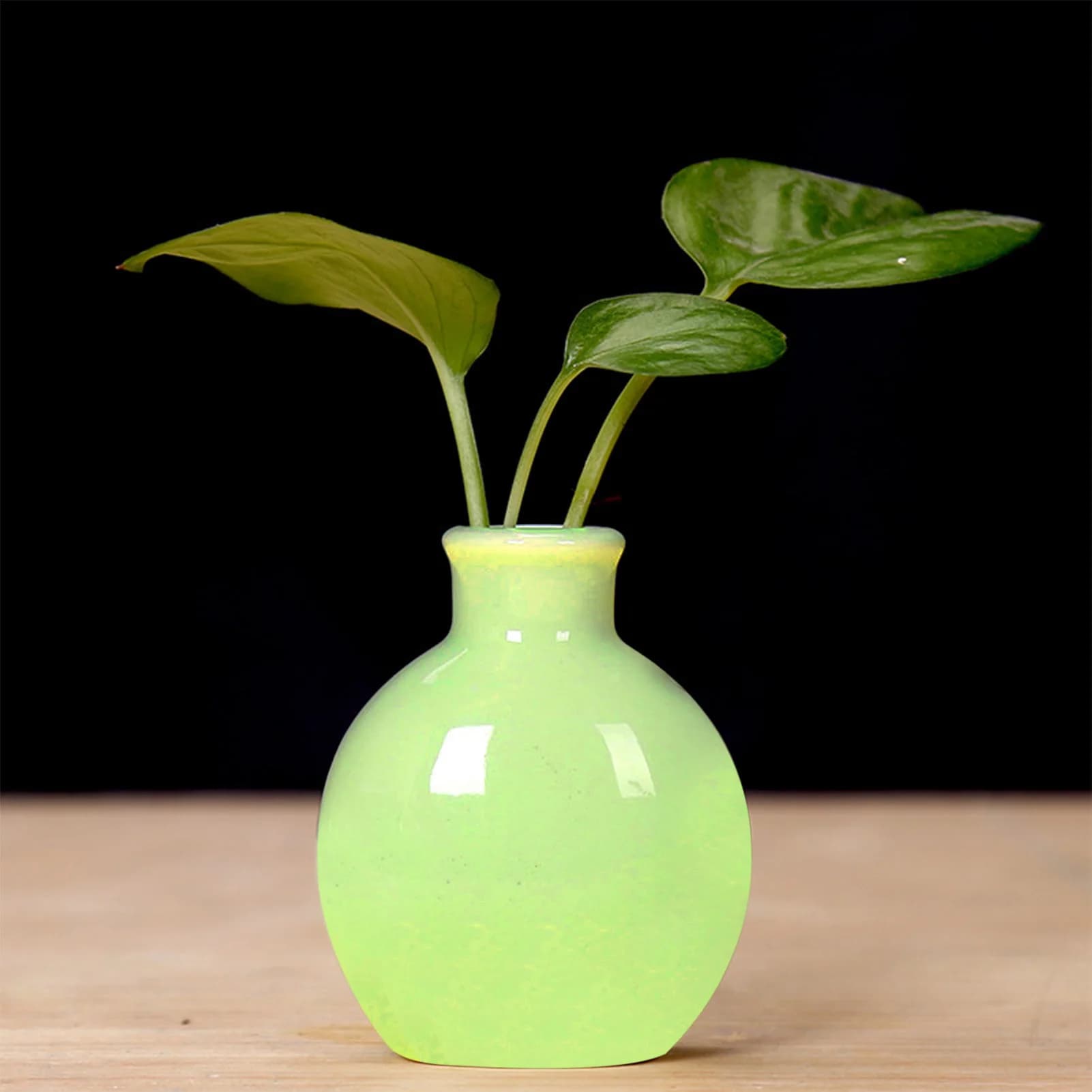 Ceramic Flower Vase for Plants