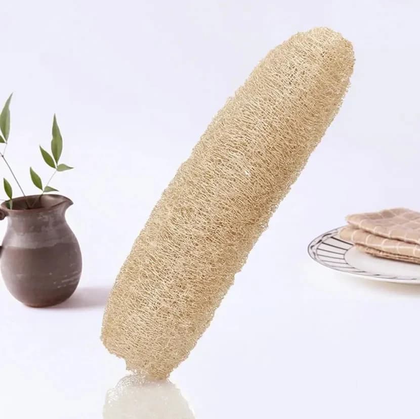 Natural Loofah Sponge