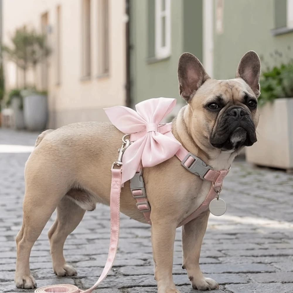 Adjustable Escape-Proof Pet Harness with Leash