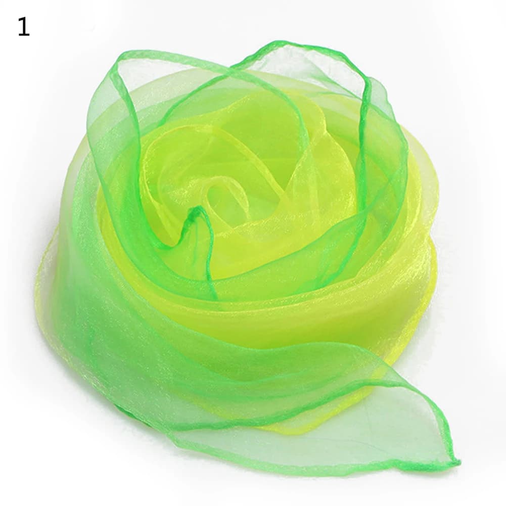 Silk Chiffon Neck Scarf