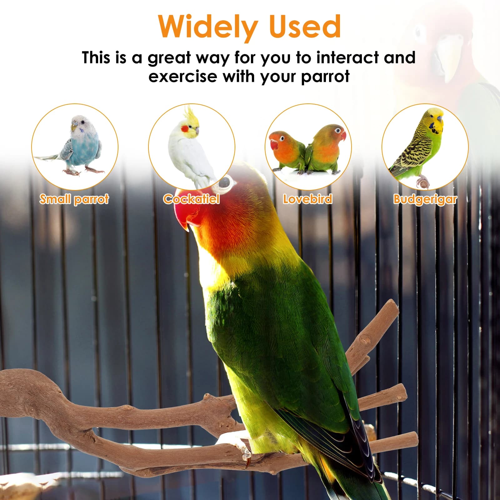 Solid Wood Bird Perch Stand Set