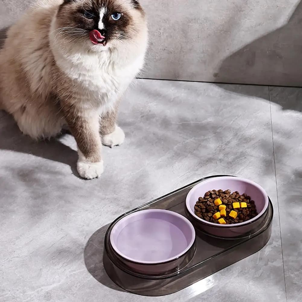 Elevated Dual Pet Feeding Station