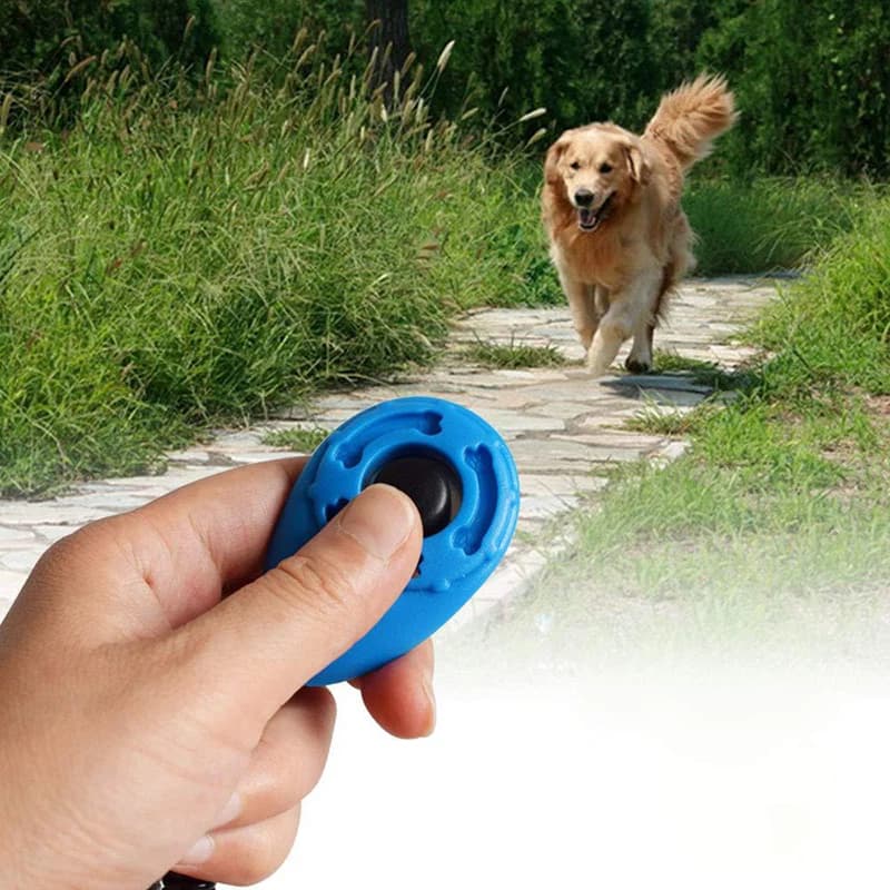 Pet Training Clicker With Wristband