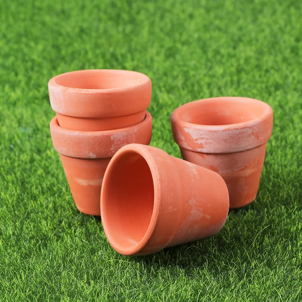 Mini Terracotta Plant Pots Set of 12
