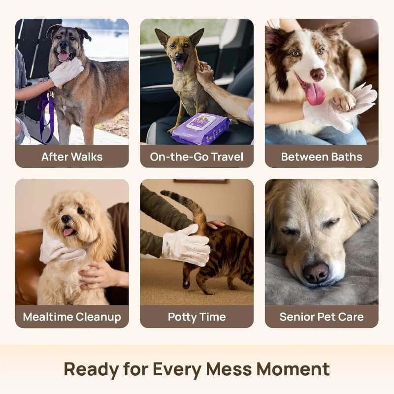 Dog and Cat Grooming Wipes Glove