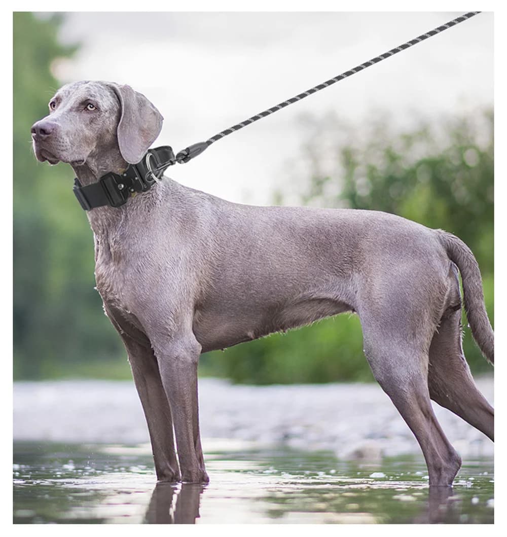 Tactical Dog Collar for Medium to Large Dogs