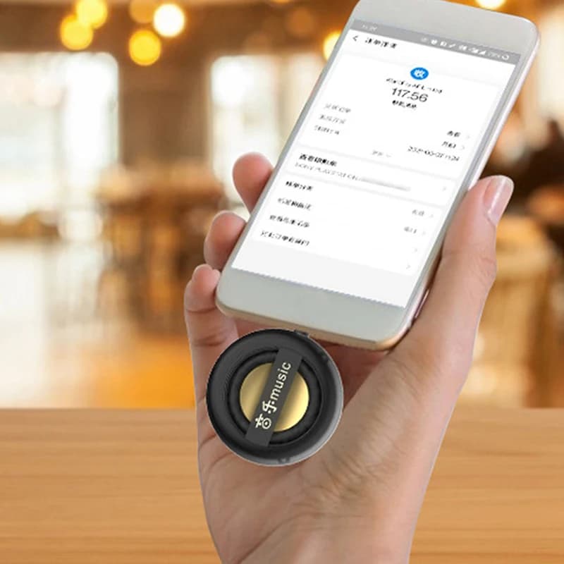 Portable Mini Wireless Speaker with USB-C and Aux