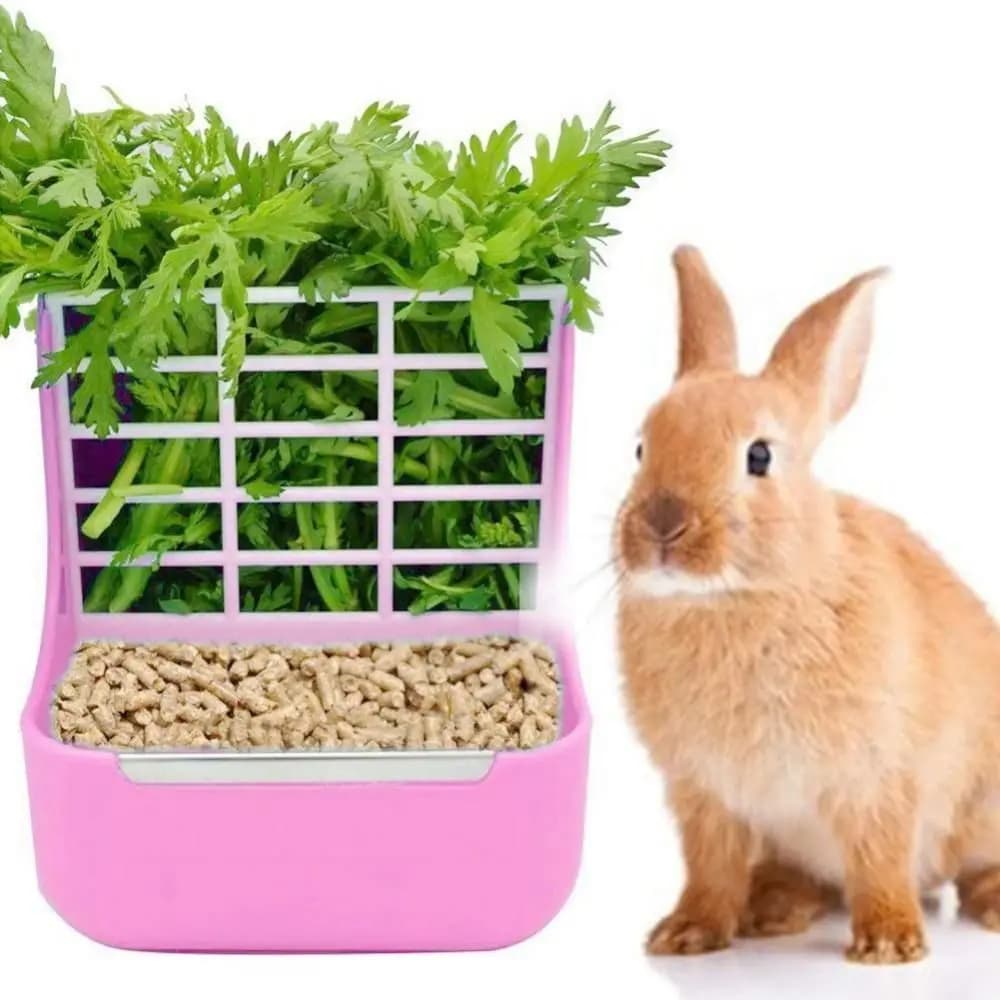 Hay and Food Feeder Rack for Small Animals