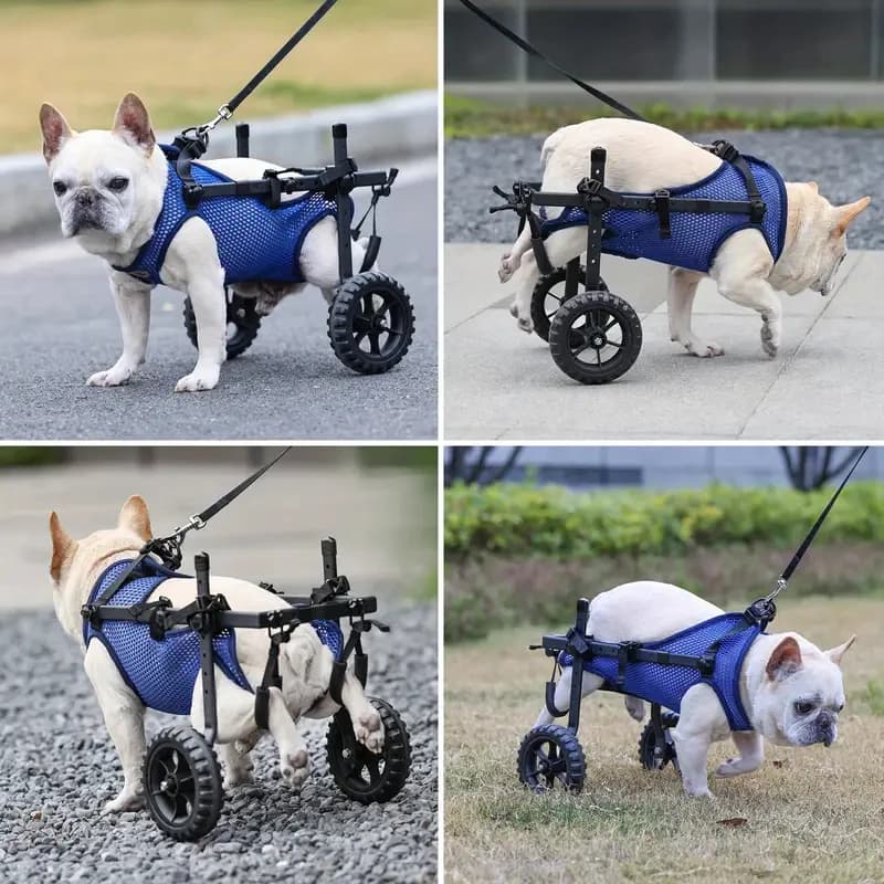 Adjustable Small Dog Wheelchair