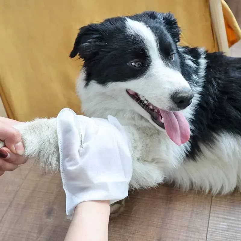 Pet Disposable Glove Wipes for Dogs and Cats