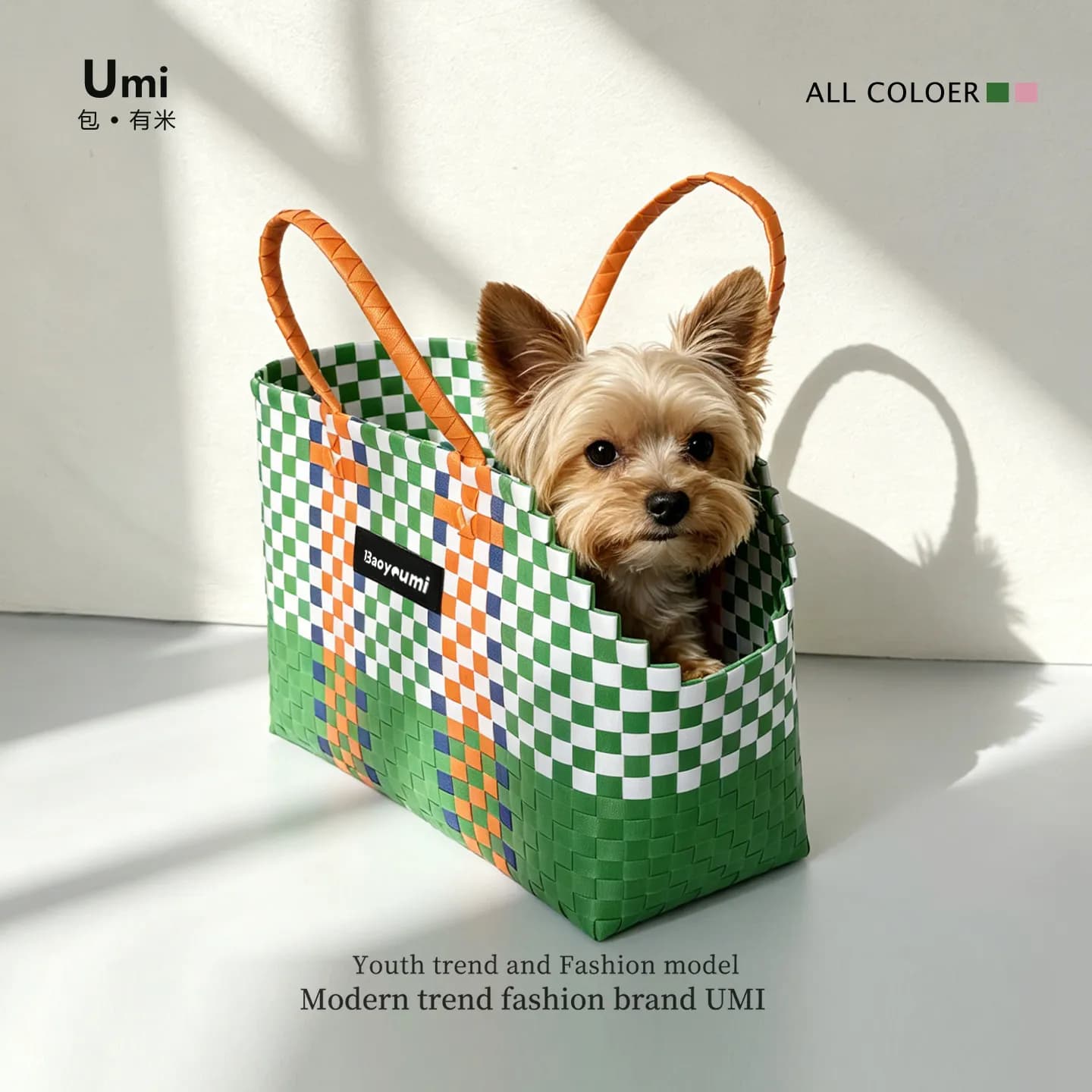 Hand-Woven Small Pet Carrier Bag