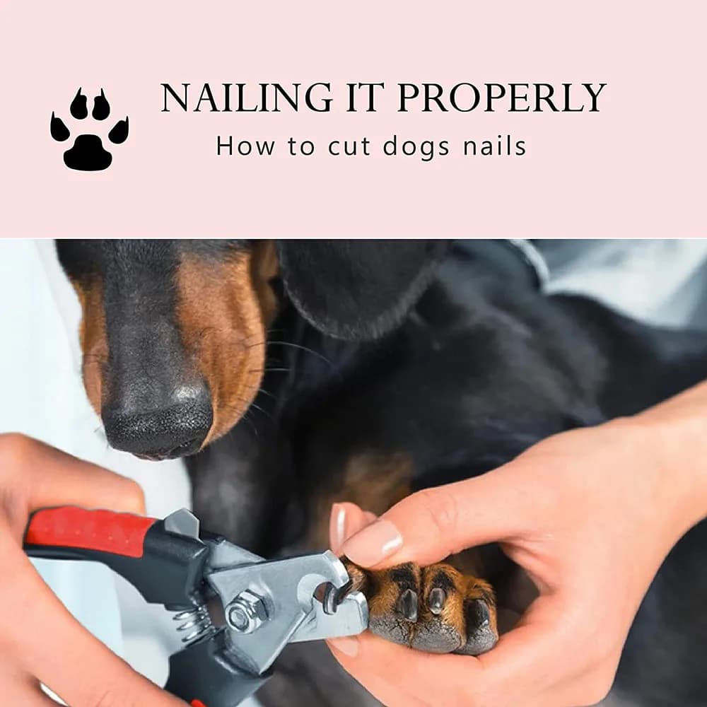 Dog Nail Clippers with Quick Sensor Safety Guard