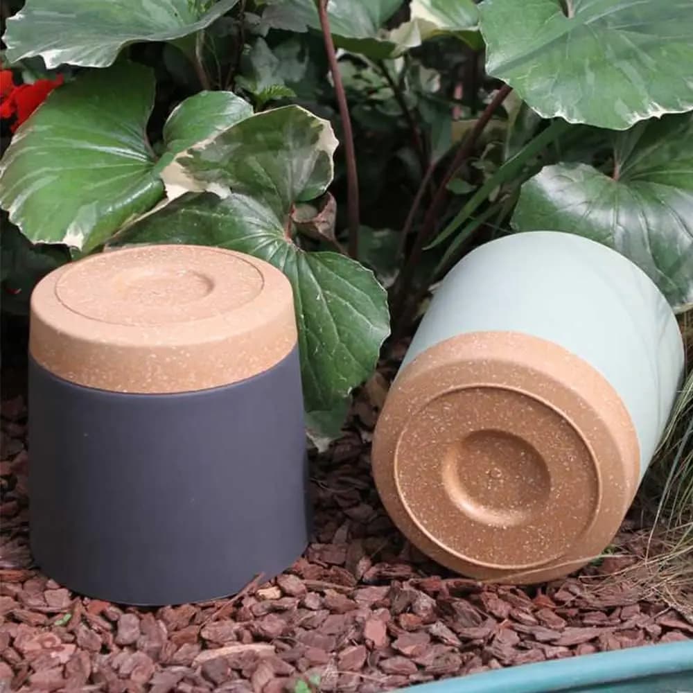 Large Plastic Plant Pots with Drainage