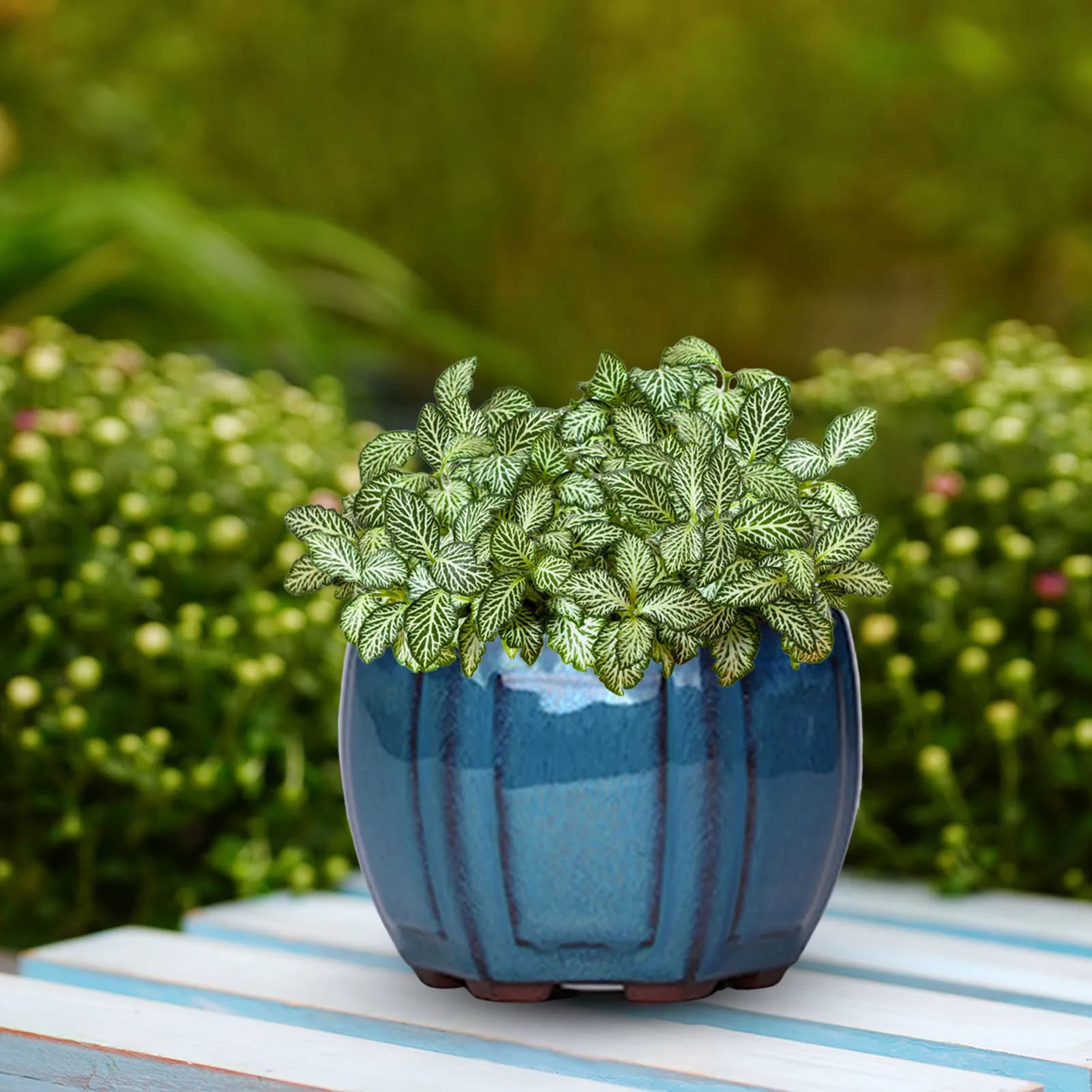 Ceramic Drainage Planter Pot