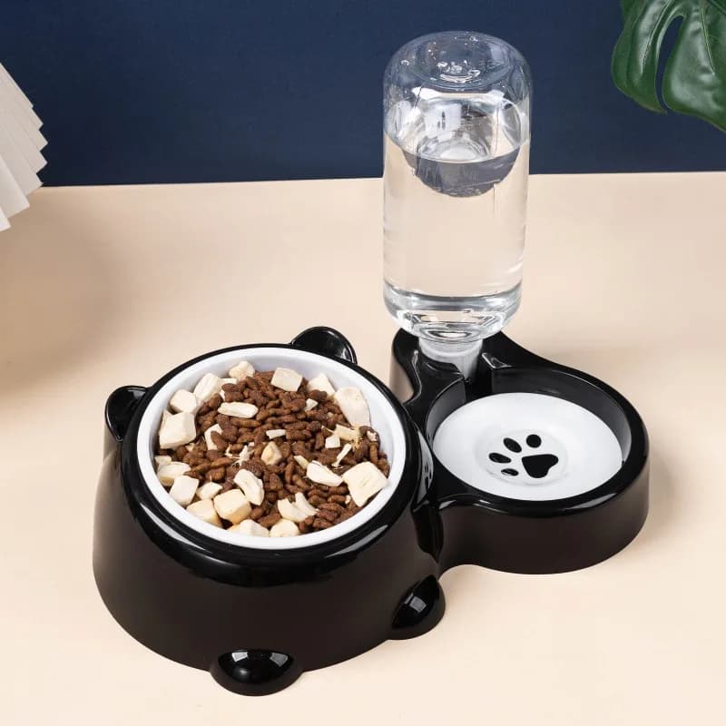 Elevated Dual Pet Feeder Bowl