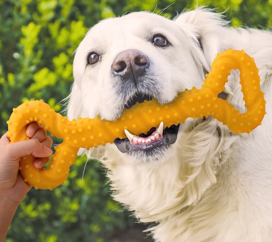 Pet Toys, Dog Toys, Durable Chew Sticks, Bones, Golden Retriever, Border Collie, Labrador, Large Dog Boredom-Relief Toys