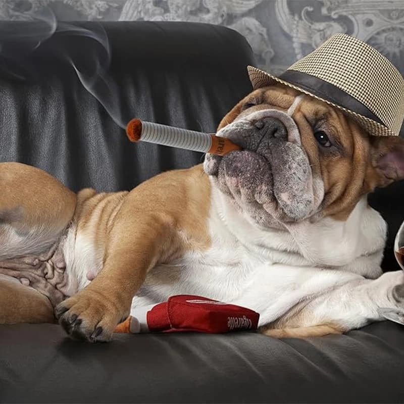 Dog Toy Funny Interactive Plush Dog Toys Creatives Cigarette Design Giggling Chewing Toys For Dog The Perfect Pet Gift