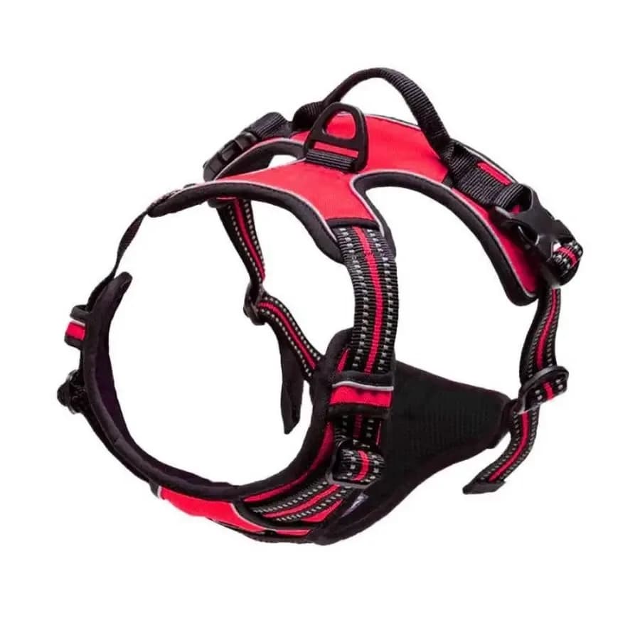 Dog Collar Harness and Leash Set
