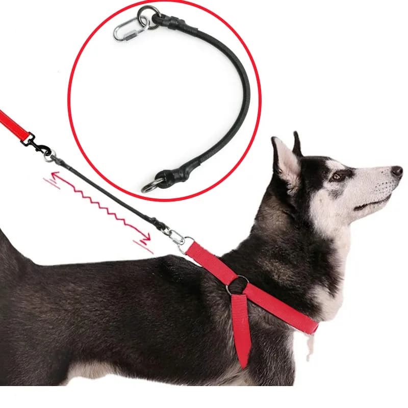 Dog Leash Extension Elastic Rope 45cm